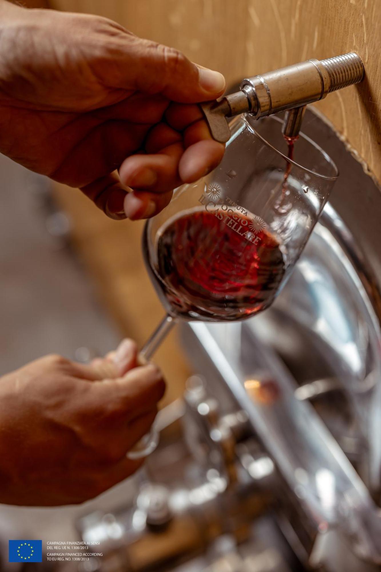 Agriturismo Poggio Il Castellare Montalcino Eksteriør billede